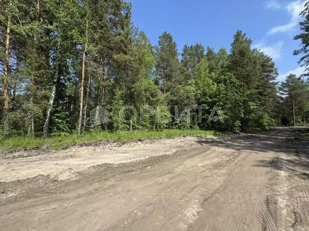 Участок в Тюменская область, Нижнетавдинский район, Геолог-2 СНТ  (9.0 ... - Фото 0