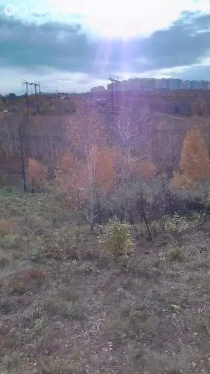 Участок в Солонцовский сельсовет, садоводческое некоммерческое ... - Фото 1