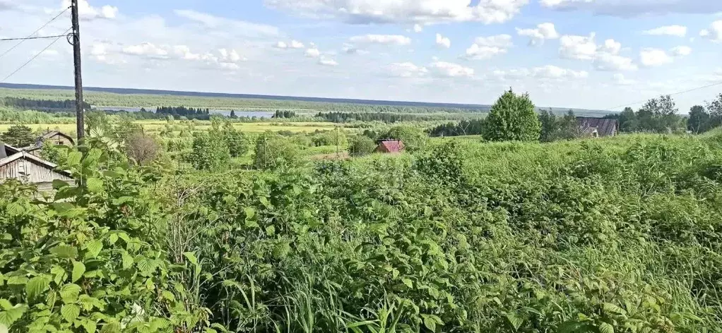 Участок в Коми, Сыктывдинский район, Зеленец муниципальное ... - Фото 1