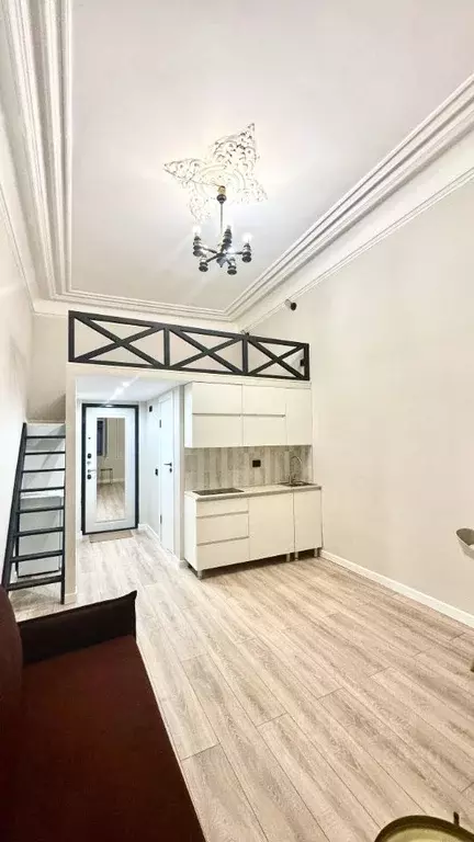 Студия Санкт-Петербург ул. Жуковского, 5 (27.0 м) - Фото 1