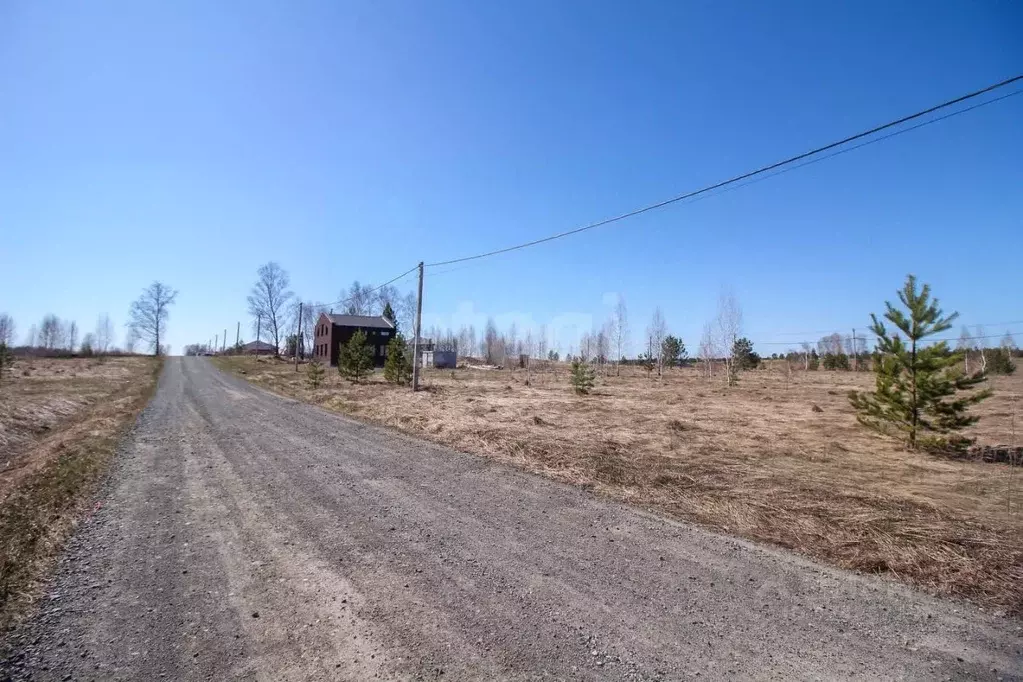 Участок в Алтайский край, Первомайский район, с. Фирсово, Рощино мкр ... - Фото 2