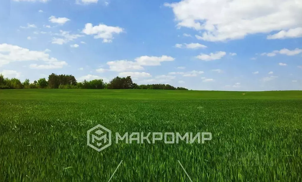 Участок в Архангельская область, Приморский муниципальный округ, д. ... - Фото 1