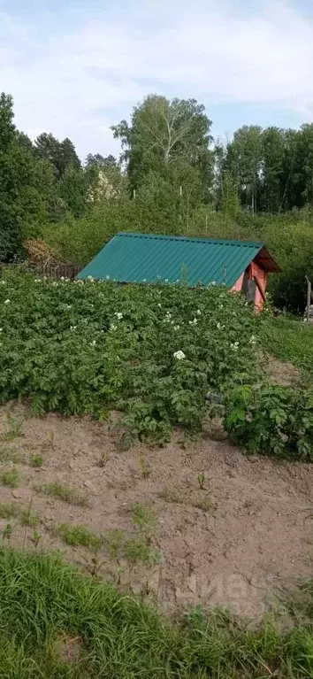 Участок в Новосибирская область, Новосибирск Поляна СНТ,  (4.15 сот.) - Фото 0