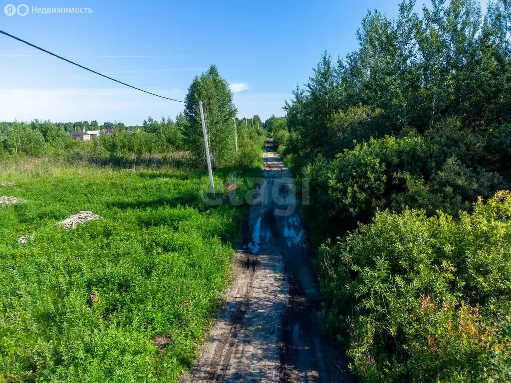 Участок в Тюмень, садовое товарищество Поле Чудес, Виноградная улица ... - Фото 1