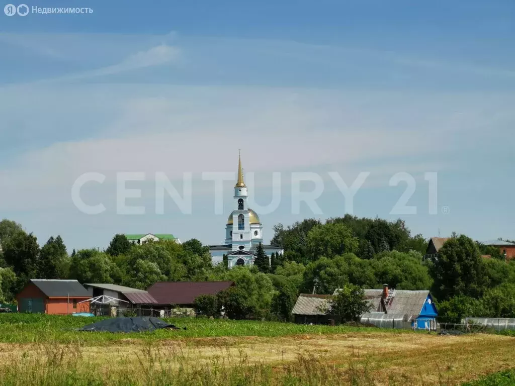 Участок в Недельное, село Недельное, Лесная улица (11.6 м) - Фото 0
