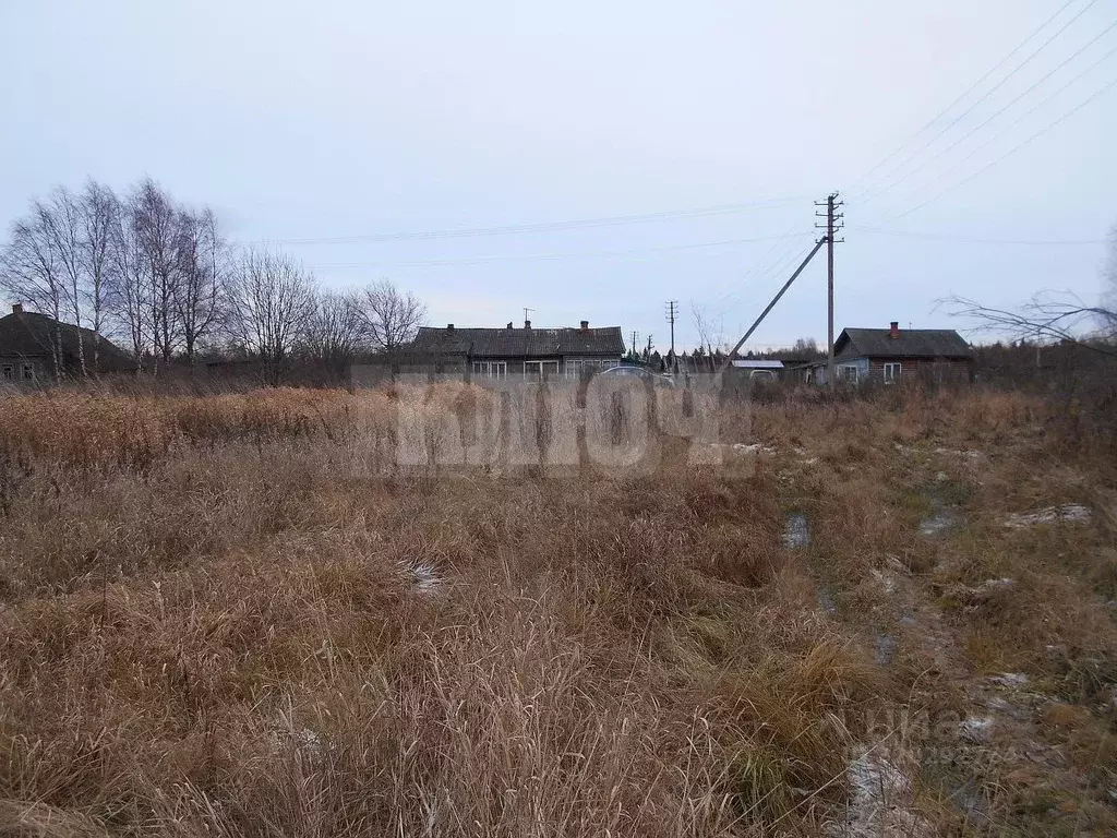 Участок в Вологодская область, Сокольский муниципальный округ, д. ... - Фото 2