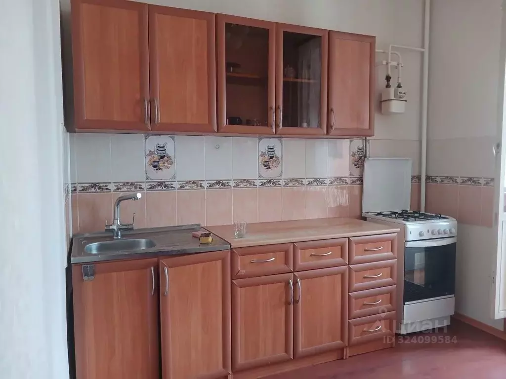 1-к кв. Татарстан, Казань ул. Юлиуса Фучика, 115 (55.0 м) - Фото 1