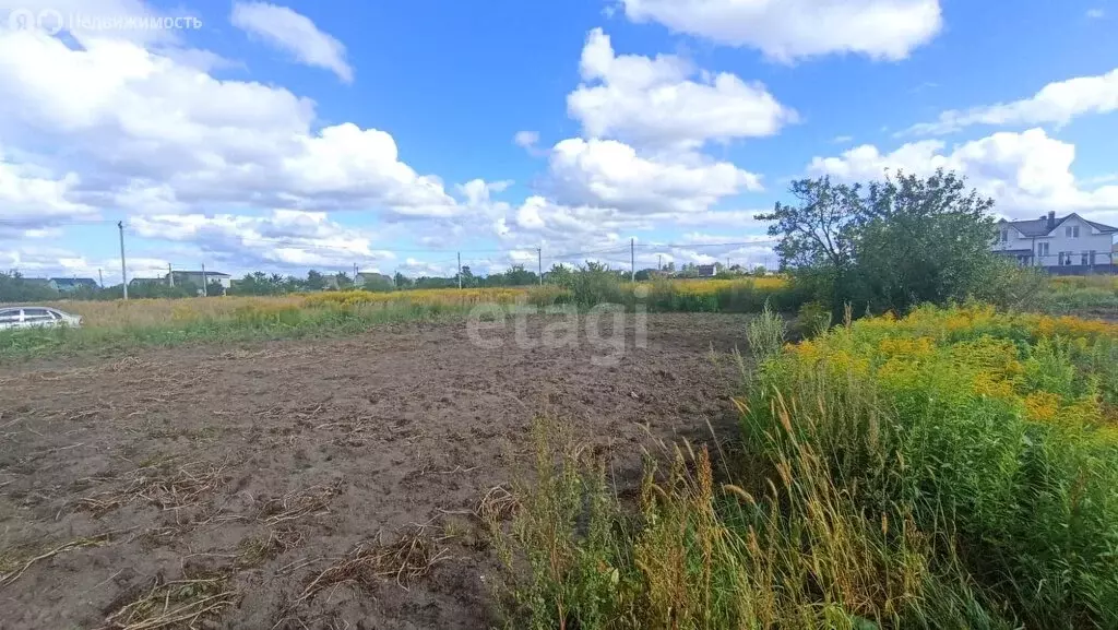 Участок в посёлок Новые Дарковичи, СДТ Болва (12 м) - Фото 0