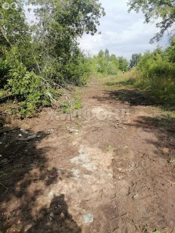 Участок в Новосибирск, улица Солидарности (10 м) - Фото 1