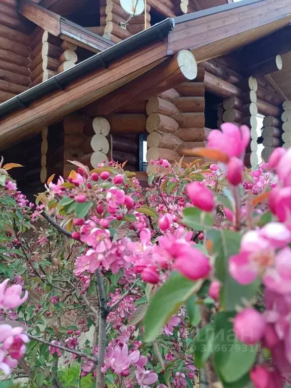 Дом в Свердловская область, Ревда муниципальный округ, с. Кунгурка ул. ... - Фото 0