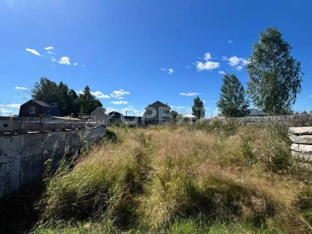 Участок в Тюменская область, Тюмень Садовое товарищество Липовый ... - Фото 2