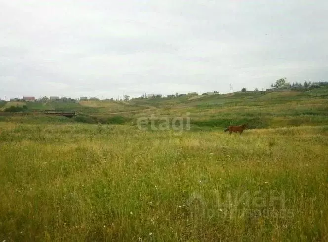Участок в Башкортостан, Чишминский район, Ибрагимовский сельсовет, с. ... - Фото 1