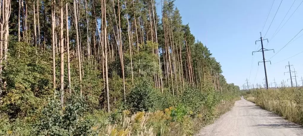 Участок в Тульская область, Тула городской округ, д. Самылинка, ... - Фото 1