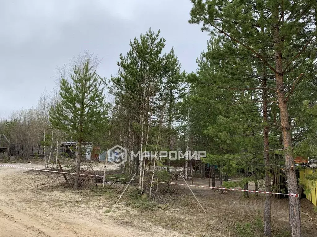 Участок в Ханты-Мансийский АО, Сургутского муниципального района тер., ... - Фото 1