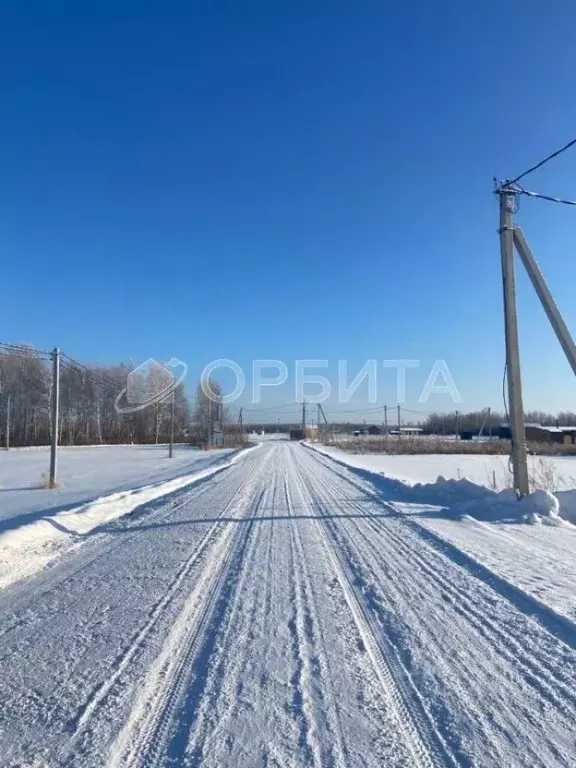 Участок в Тюменская область, Тюменский район, с. Горьковка Сибирская ... - Фото 0