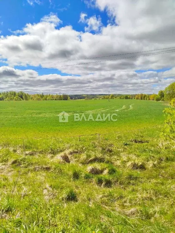 Участок в Калужская область, Село Бабынино с/пос, д. Хвалово  (200.0 ... - Фото 2