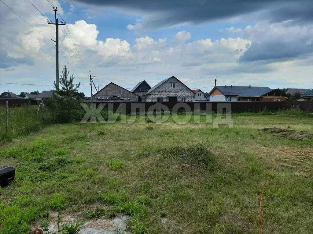 Участок в Новосибирская область, Новосибирский район, Верх-Тулинский ... - Фото 1