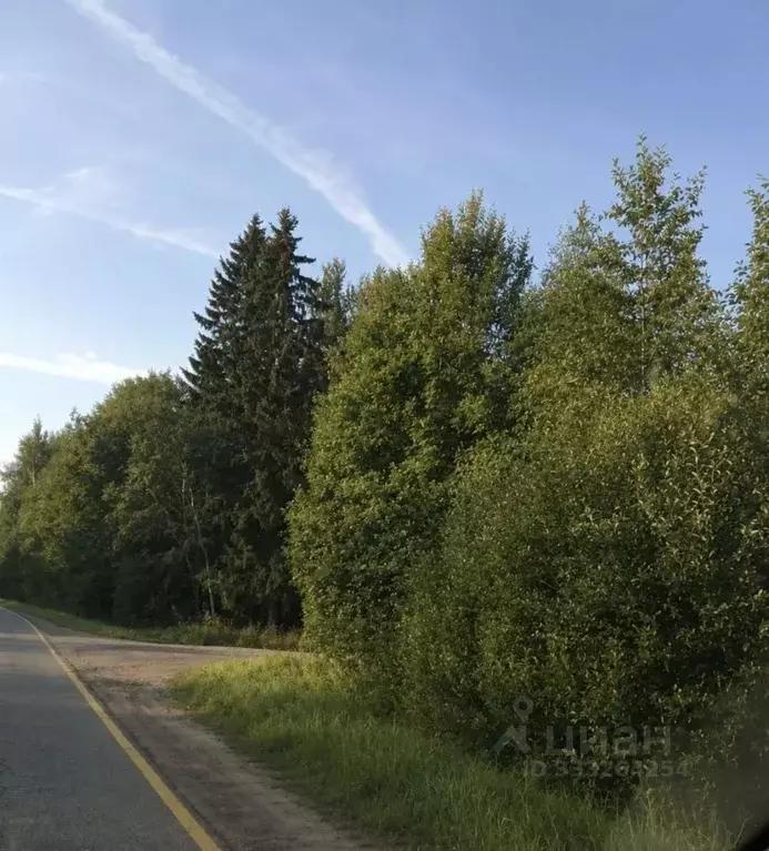 Участок в Ленинградская область, Кировский район, Шумское с/пос, ... - Фото 2