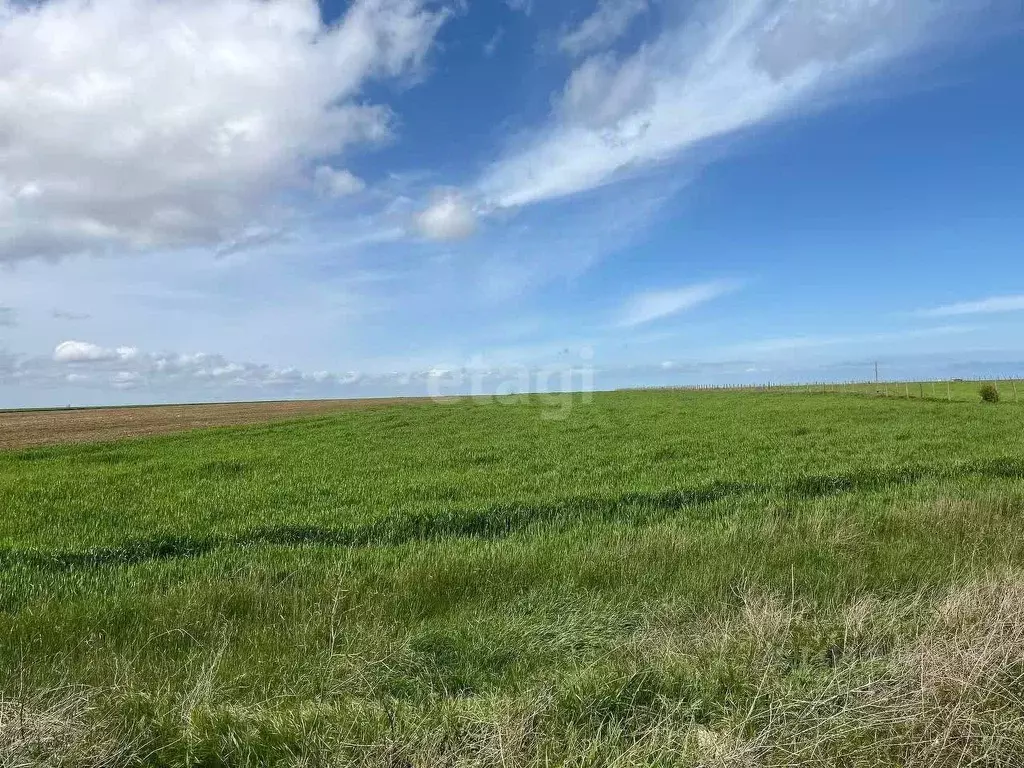 Участок в Крым, Ленинский район, с. Семисотка ул. Закияна (809.8 сот.) - Фото 2