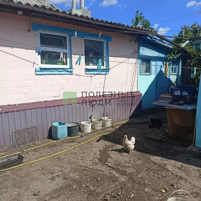 Дом в Белгородская область, Корочанский муниципальный округ, с. Заячье ... - Фото 2