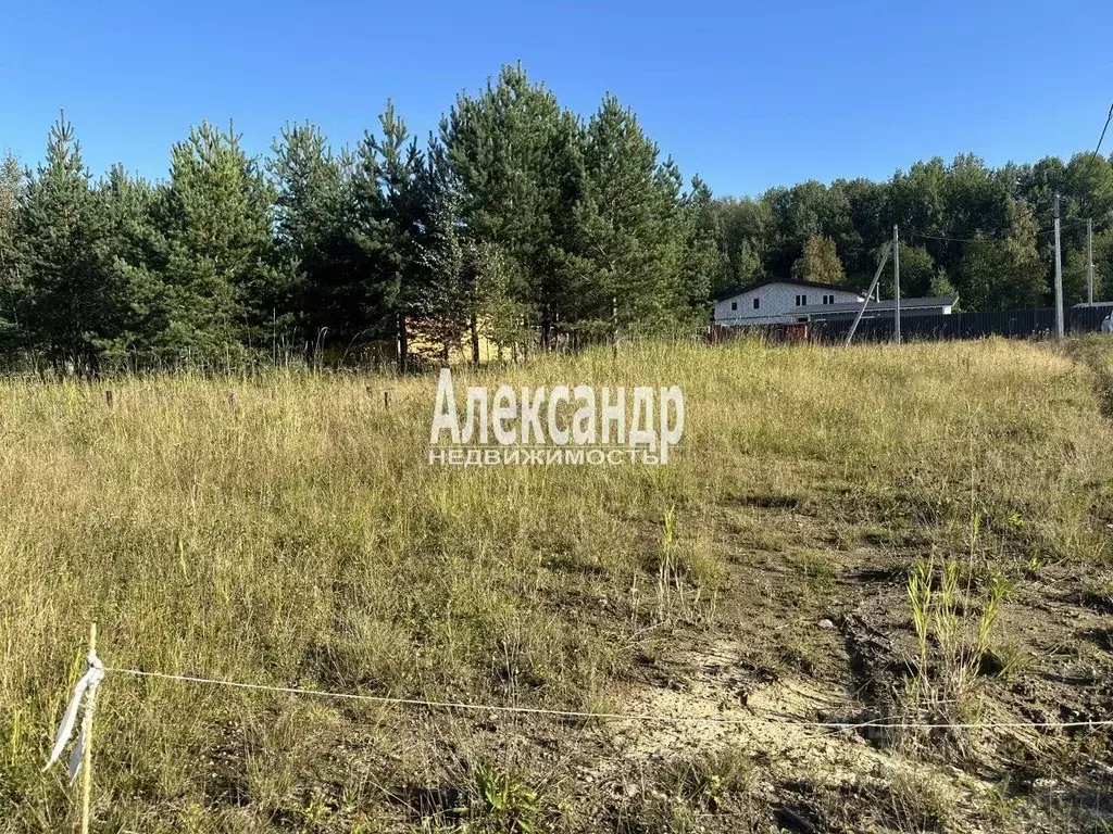 Участок в Ленинградская область, Ломоносовский район, Пениковское ... - Фото 2