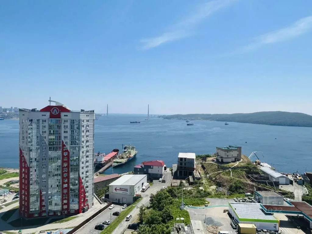 1-к кв. Приморский край, Владивосток ул. Крыгина, 94 (47.0 м) - Фото 1