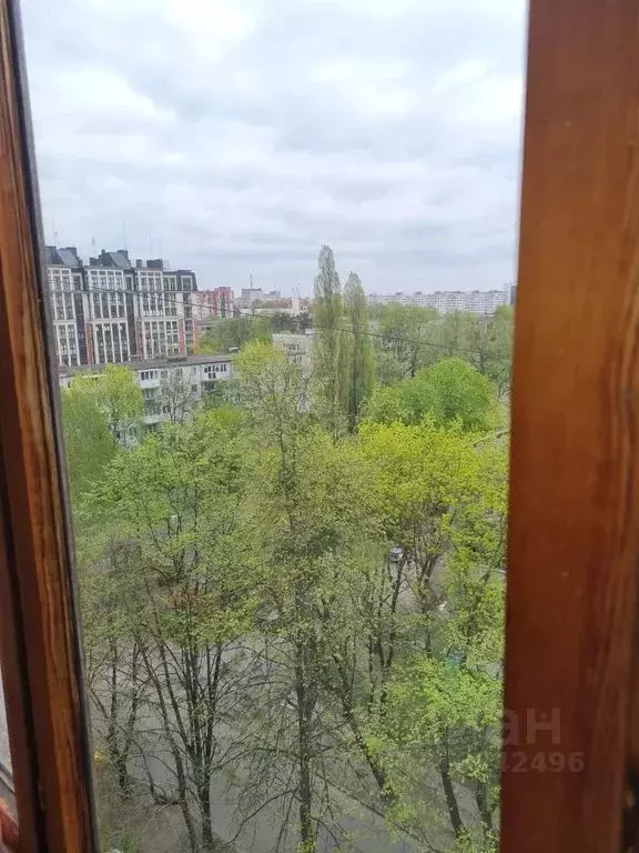 1-к кв. Калининградская область, Калининград ул. Профессора ... - Фото 0