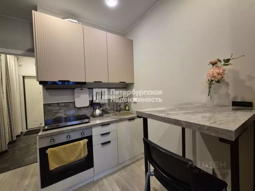 Студия Санкт-Петербург пос. Шушары, пер. Вилеровский, 6 (23.8 м) - Фото 1