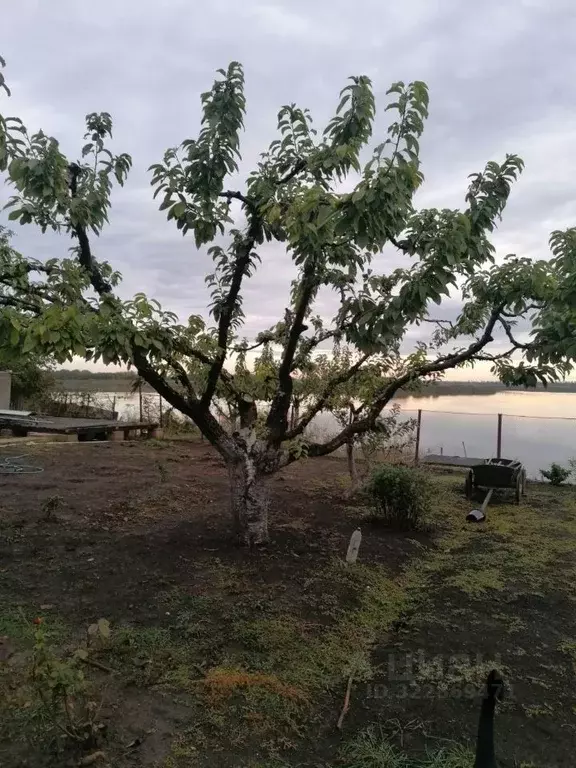 Дом в Краснодарский край, Тимашевский район, Роговское с/пос, Красный ... - Фото 2