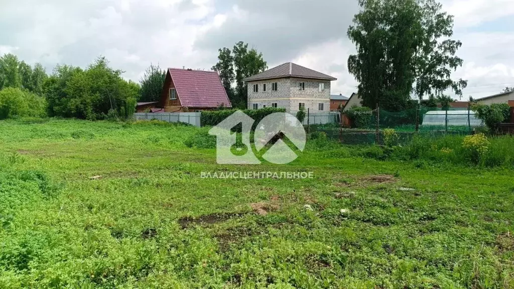 Участок в Новосибирская область, Новосибирский район, Мичуринский ... - Фото 1