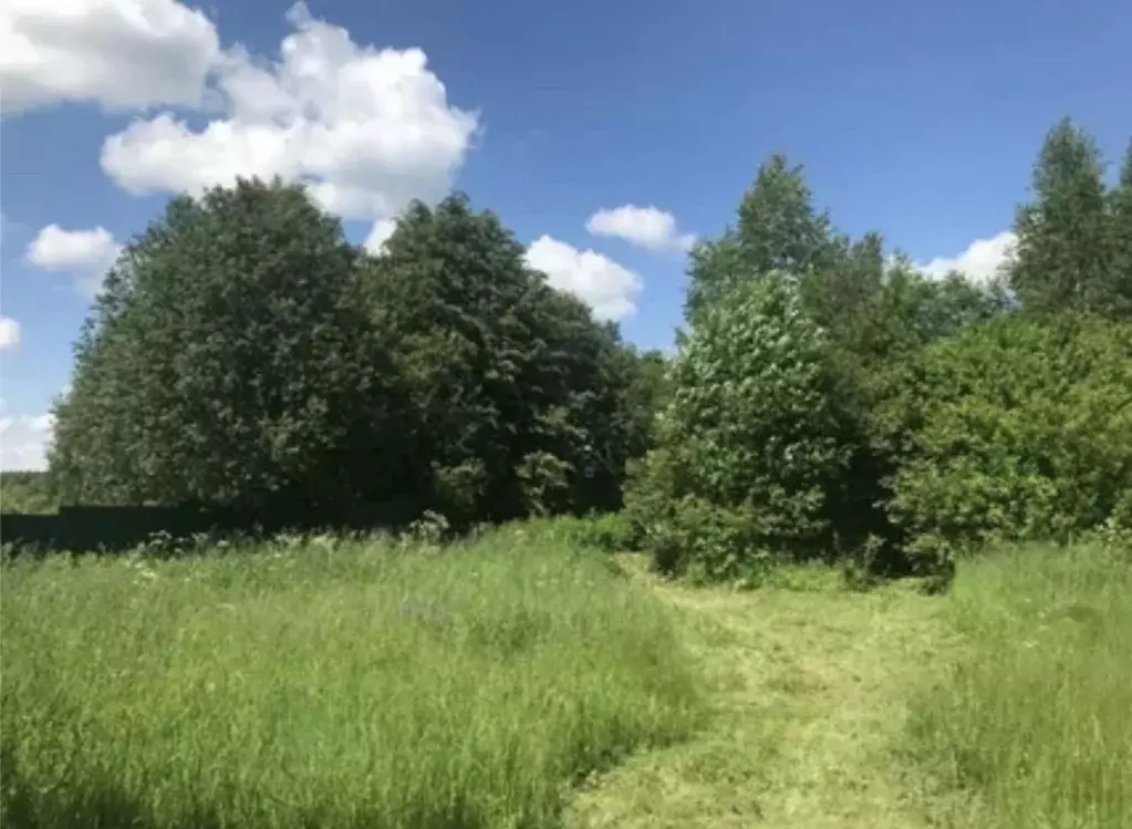 Участок в Московская область, Мытищи городской округ, с. Марфино ул. ... - Фото 2