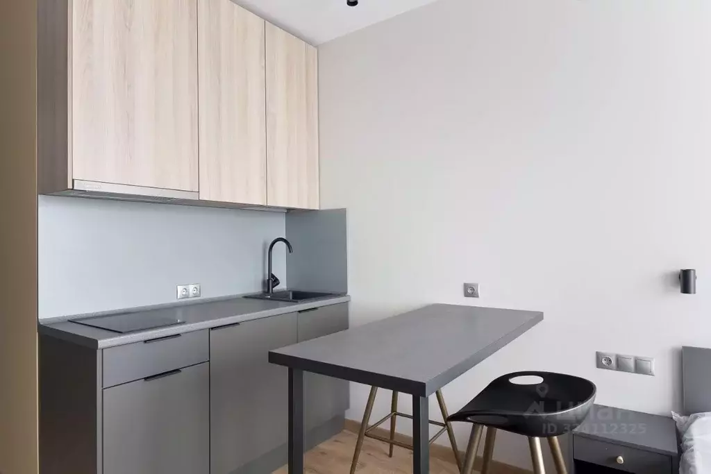 Студия Санкт-Петербург дор. На Турухтанные острова, 5к1 (22.4 м) - Фото 2