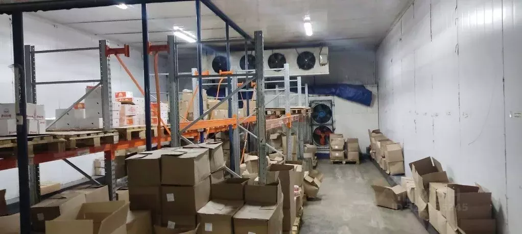 Склад в Тульская область, Тула Мясново мкр, ул. Маршала Жукова (1725 ... - Фото 2