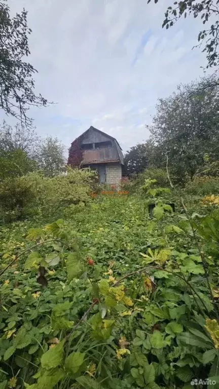 Дом в Тульская область, Тула Металлург-3 СНТ, 17 (40 м) - Фото 2