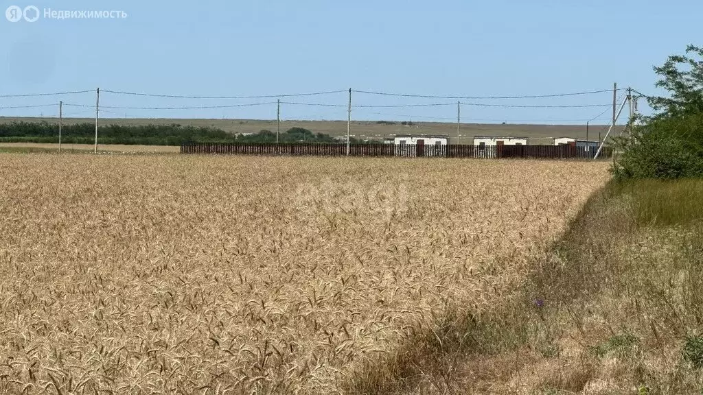 Участок в Окунёвское сельское поселение, село Знаменское, Белорусская ... - Фото 0