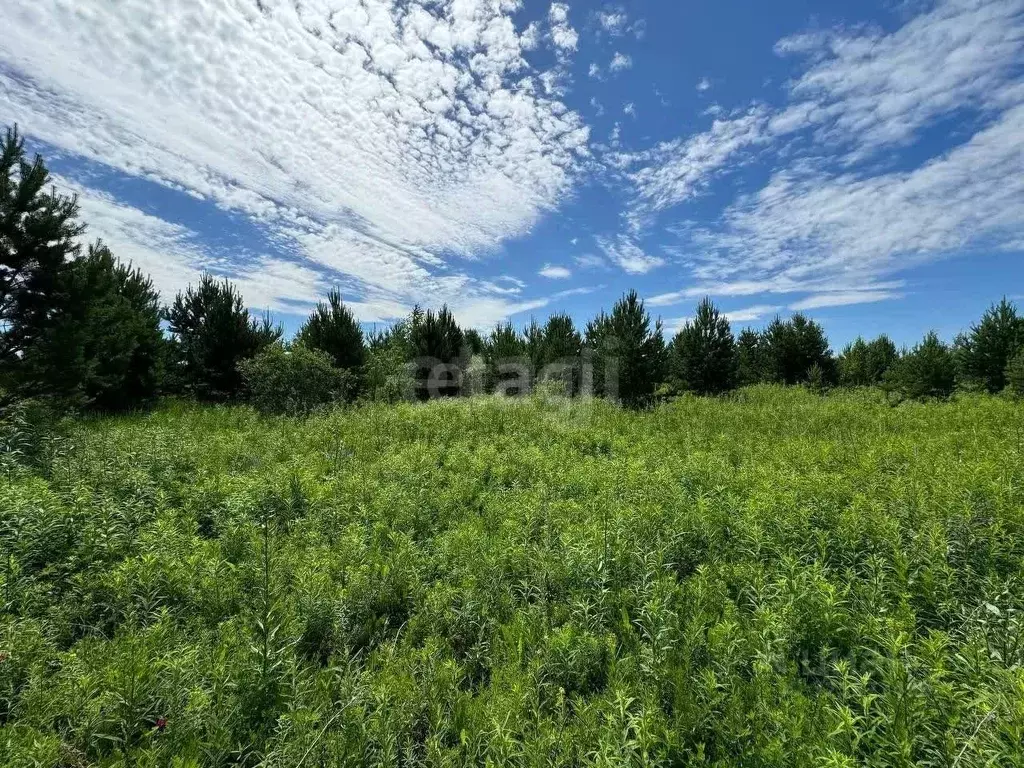 Участок в Тюменская область, Тюменский муниципальный округ, ... - Фото 0