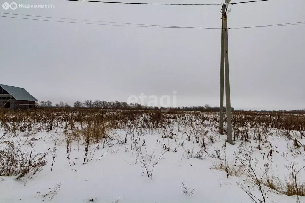 Участок в Тюменская область, Ялуторовский муниципальный округ, деревня ... - Фото 2