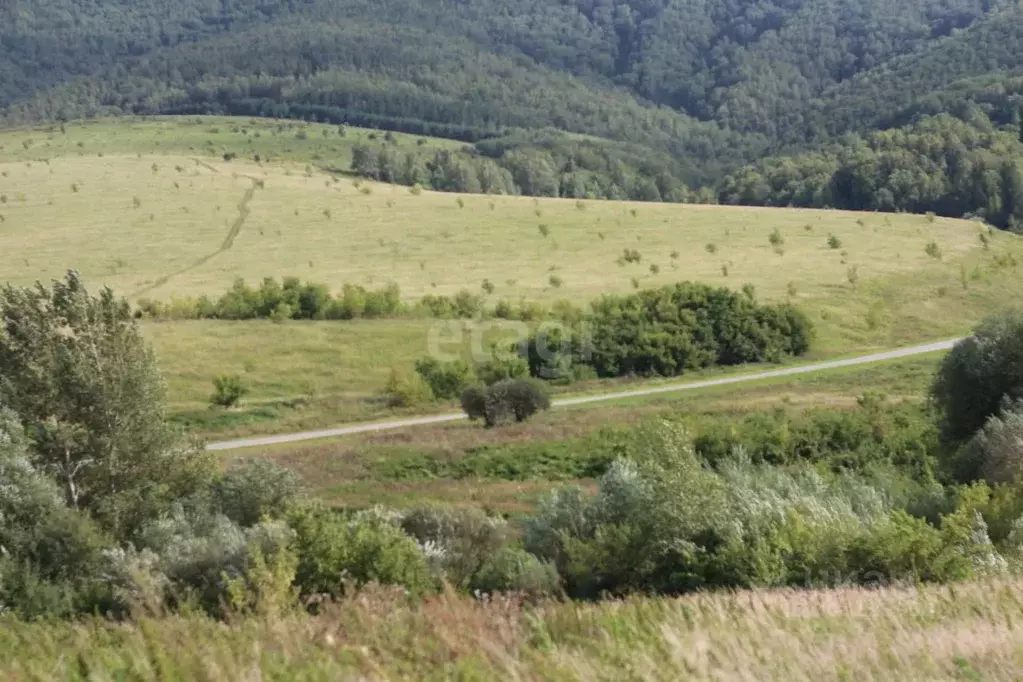 Участок в Алтайский край, Белокуриха Центральная ул. (15.2 сот.) - Фото 1