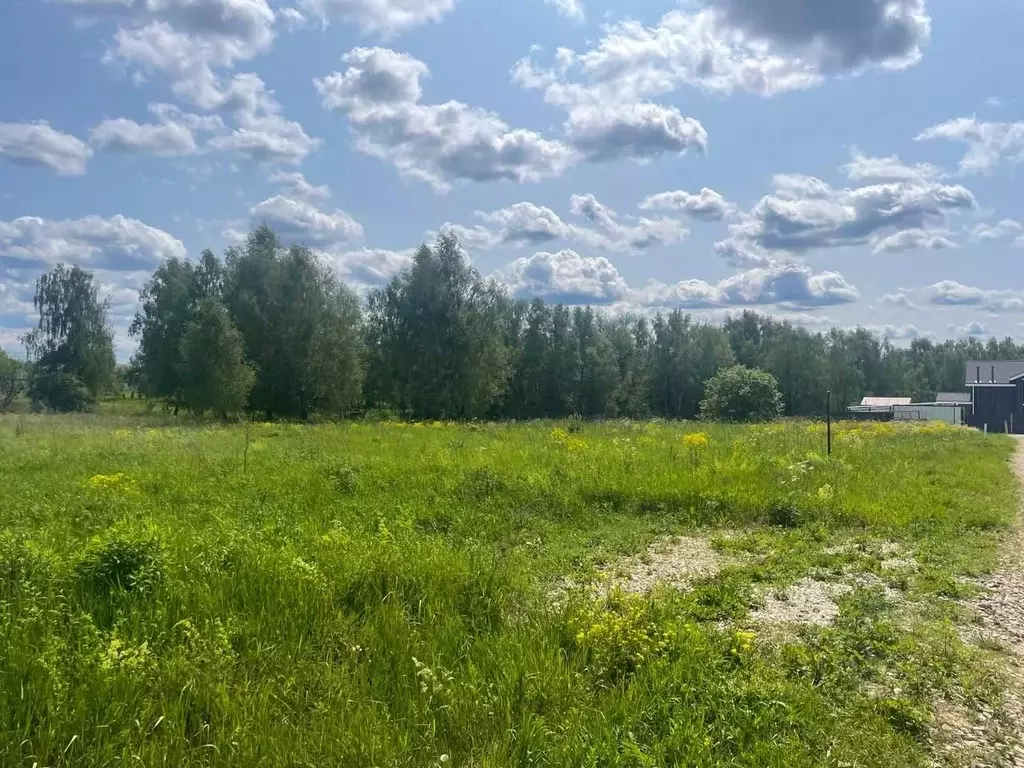 Участок в Московская область, Ступино городской округ, д. Гридюкино ... - Фото 1