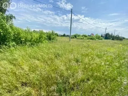 Участок в село Любино-Малороссы, улица Зелёновка, 31 (30 м) - Фото 2