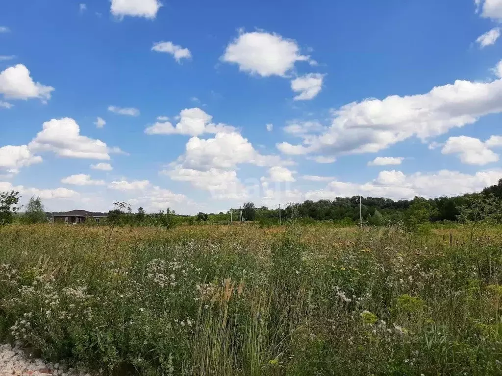 Участок в Татарстан, Лаишевский район, Егорьевское с/пос, с. Бима  ... - Фото 1