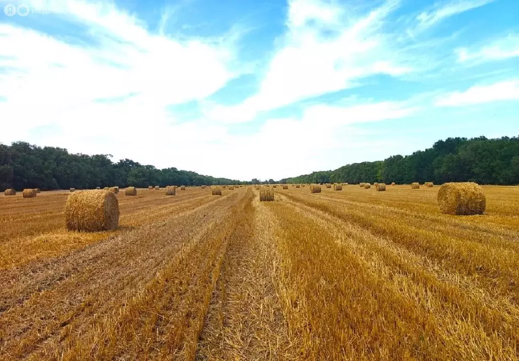 Участок в станица Курская, Весёлая улица (265000 м) - Фото 1