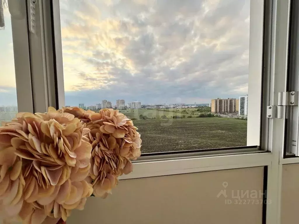 Студия Ленинградская область, Мурино Всеволожский район, бул. ... - Фото 1