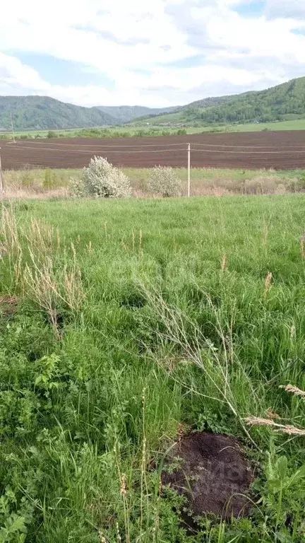 Участок в Алтайский край, Белокуриха Камчатская ул., 57 (15.0 сот.) - Фото 1