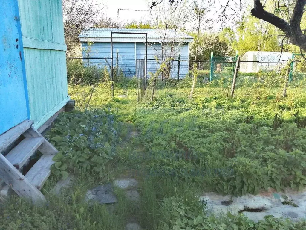 Дом в Нижегородская область, Бор Надежда СНТ, 142 (35 м) - Фото 1