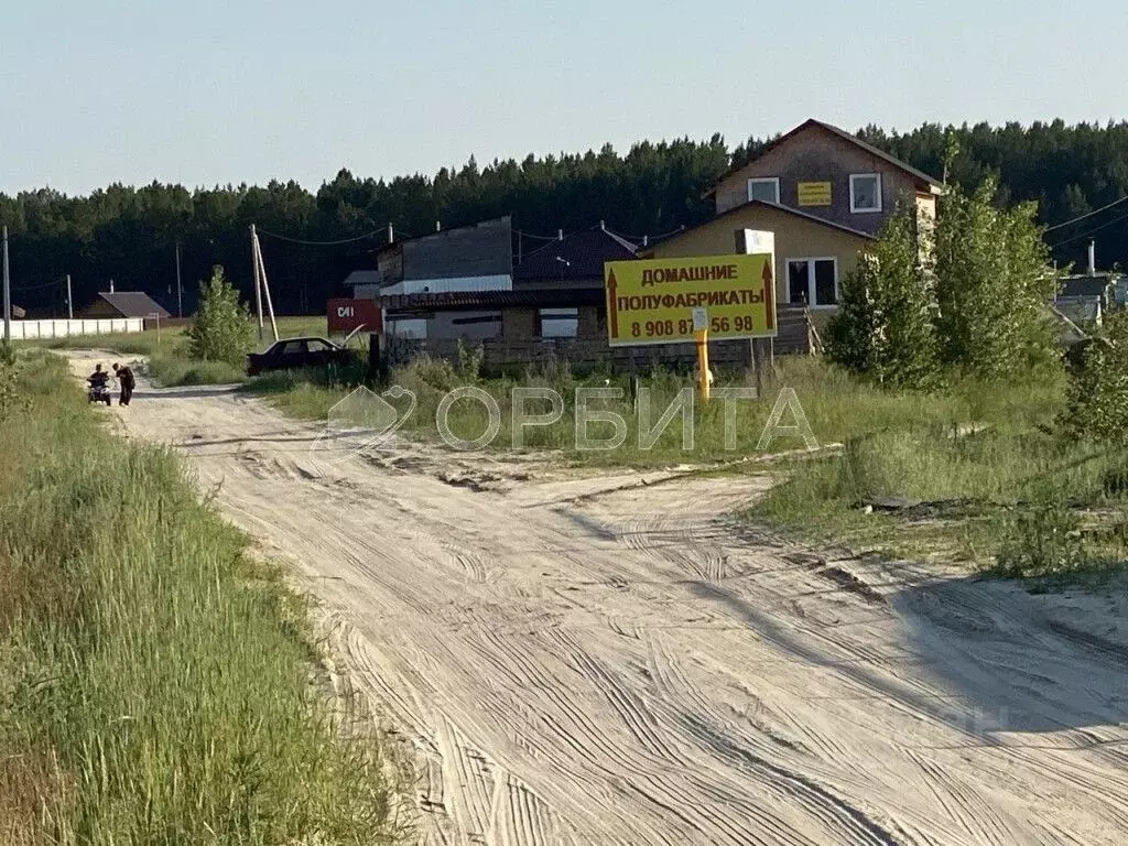 Участок в Тюменская область, Тюменский район, д. Криводанова  (10.9 ... - Фото 1