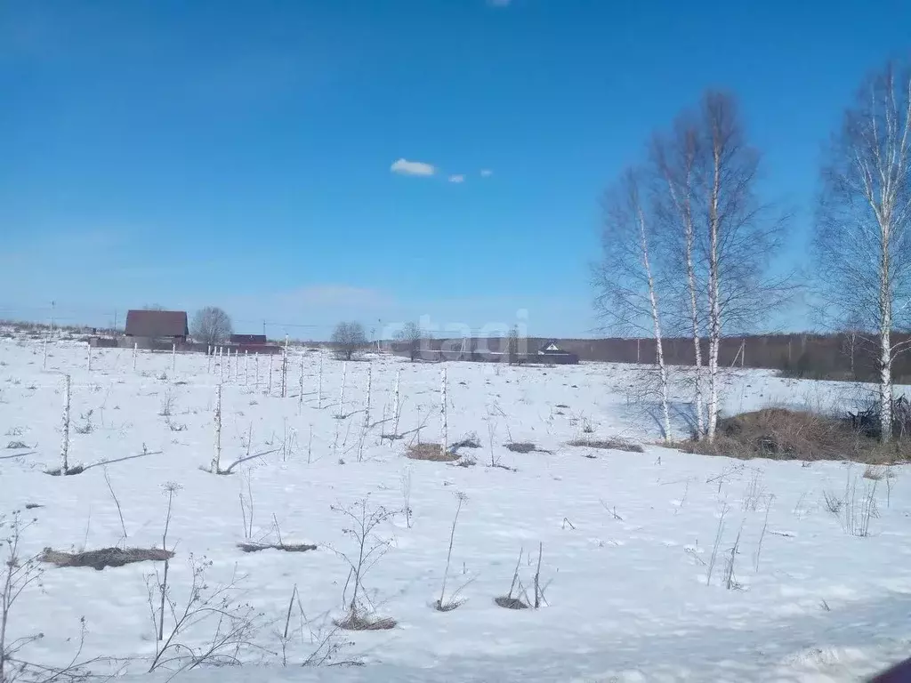 Участок в Нижегородская область, Дальнеконстантиновский муниципальный ... - Фото 1