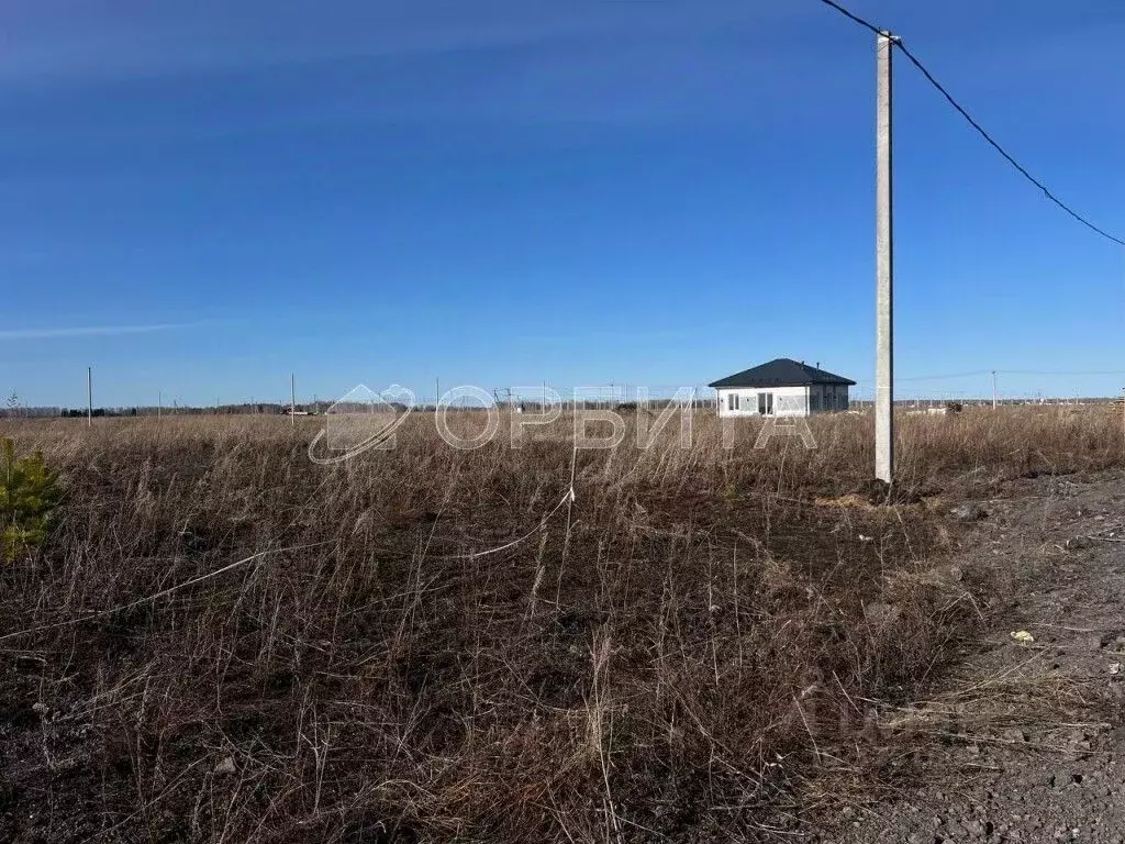 Участок в Тюменская область, Тюменский муниципальный округ, д. ... - Фото 2