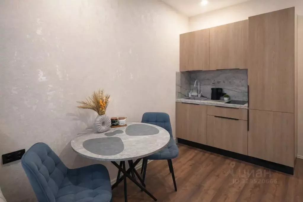 Студия Москва ул. Братьев Гранат, 6 (20.0 м) - Фото 2