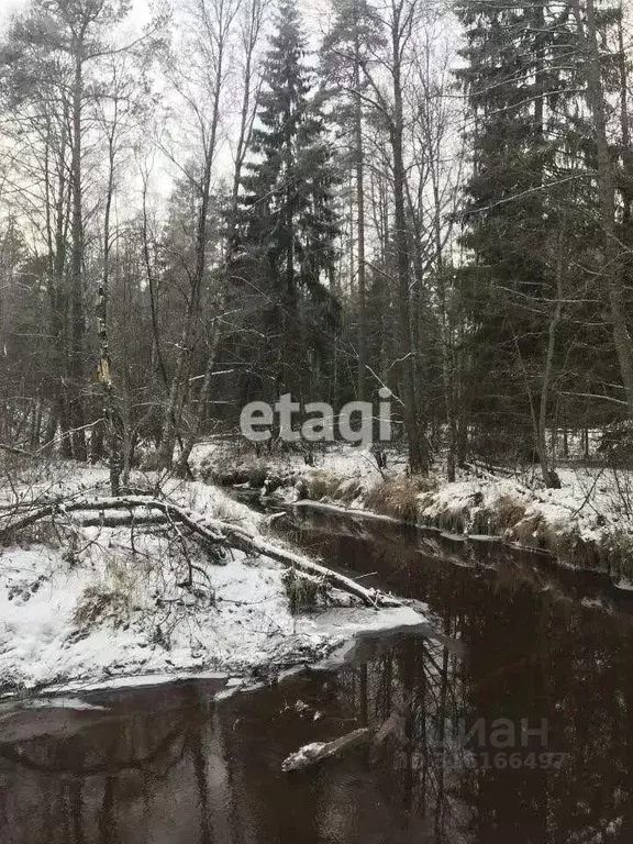 Участок в Ленинградская область, Всеволожский район, Куйвозовское ... - Фото 0
